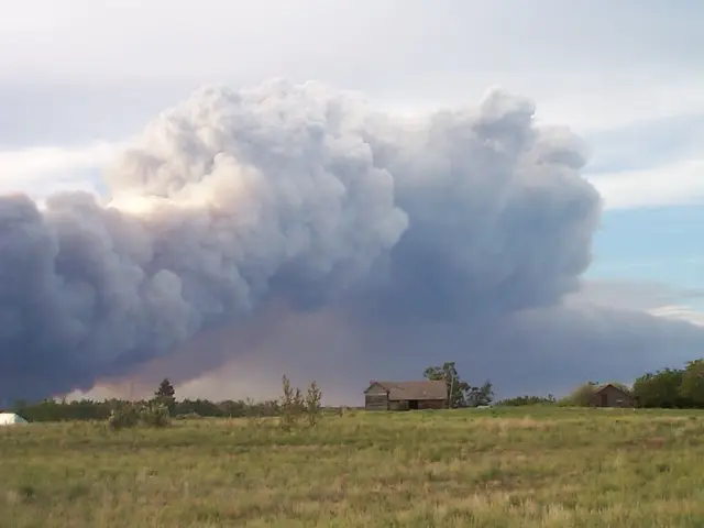 Forest fire smoke cloud over farmland